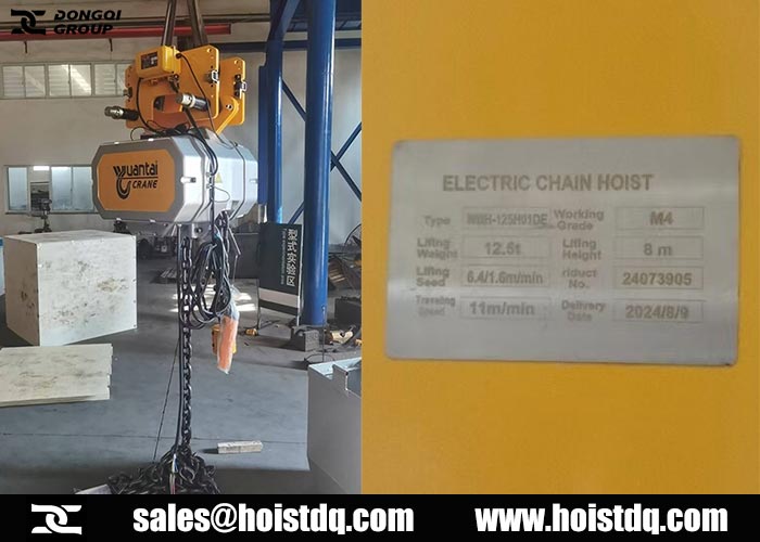 Chile 12.5 ton electric chain hoist design